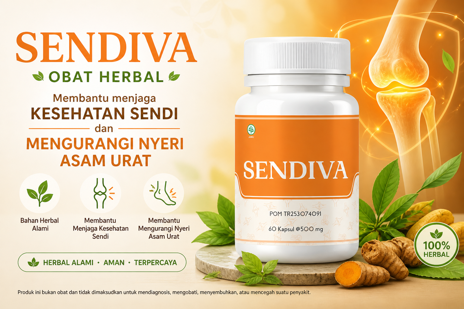 SENDIVA - (Ada 1 foto)